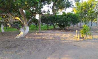 Imagem 6: Alugamos para pequenos eventos