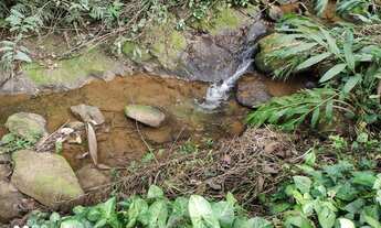 Imagem 5: Fazenda em Marechal Floriano - ES com 6 alqueires de terra