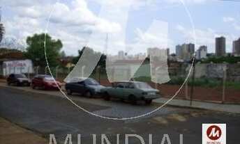 Imagem: Terreno (outros