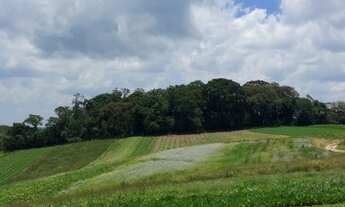 Imagem: O13- More perto da capital paulista