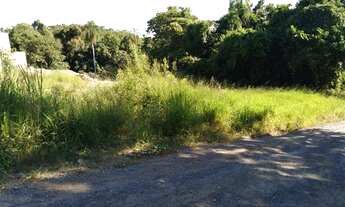 Imagem: Registro - Terreno Padrão - Jardim Lebrom