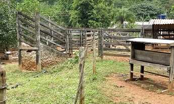 Imagem 7: Chácara em Itaberai 5.5 alqueires