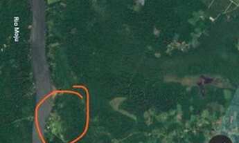 Imagem 4: Vendo Fazenda Mojú 5.000 hectares