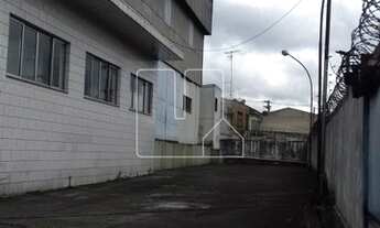 Imagem 13: São Paulo - Galpão/Depósito/Armazém - Vila Liviero