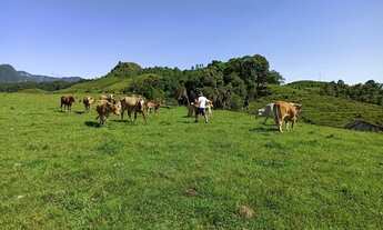 Imagem 4: Lindo terreno em Anitápolis ? 3hectares