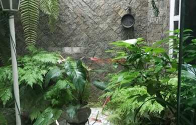 Imagem 4: Mogi das Cruzes - Casa Padrão - Vila Lavinia