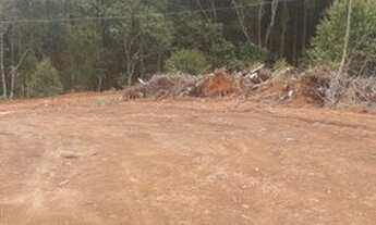 Imagem 4: Terreno com bom negocio