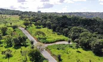 Imagem 4: Lotes de 1000m para fins comerciais na MG 10