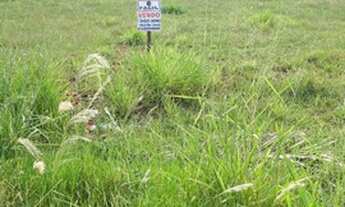 Imagem 3: Lote 330M² Limeira D'Oeste - MG 50