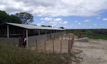 Imagem 7: Vende-se excelente Fazenda em Gravatá com 11.7 hectares. Referência: 0275