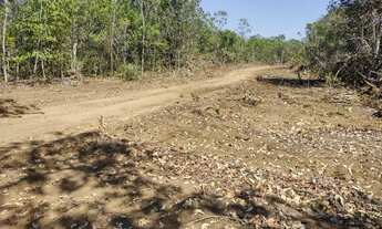 Imagem: Faz 115 Alq planta 310 Hec 2 Taiao lavouras