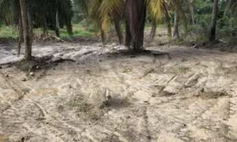 Imagem: TERRENOCAMAÇARI