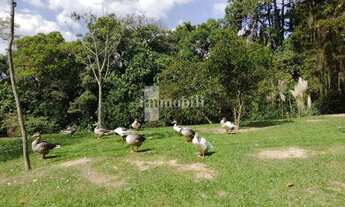 Imagem 7: LOTE 512,00 M² PLANO, OPORTUNIDADE, NO MIOLO DA GRANJA