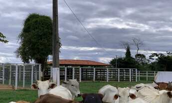 Imagem 6: FAZENDA Fazenda / sítio com venda por R$2.500.000
