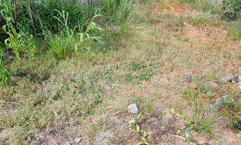 Imagem 2: Lote 450m2 murado condomínio antigo todo monitorado próximo da via estrutural rua 03 Vicen