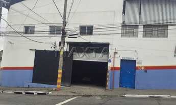 Imagem 4: Galpões 970m², 06 salas, 10 vagas. Ótima localização