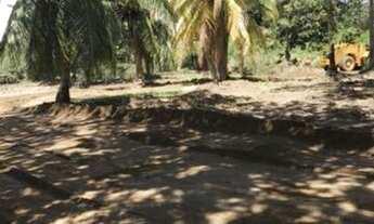 Imagem 5: TERRENOCAMAÇARI