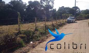 Imagem: Terreno para moradia ou mini chácara medindo