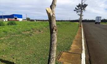 Imagem 7: VENDA Terreno / lote com venda por R$550.000