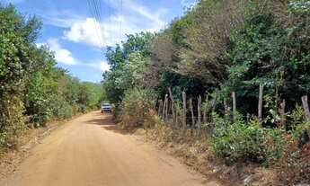 Imagem 2: TERRENO À VENDA NA PRAIA DA PIPA