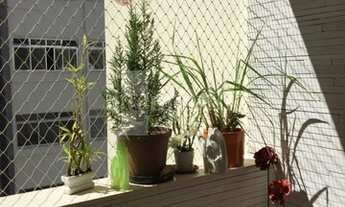 Imagem 3: Apartamento em Higienopolis 2 Dormitórios e 1 Vaga de Garagem