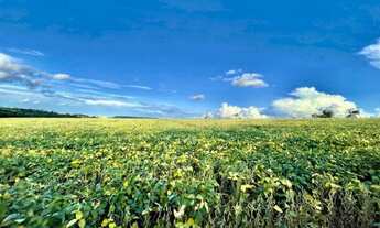 Imagem 3: Excelente Fazenda - Anápolis (GO