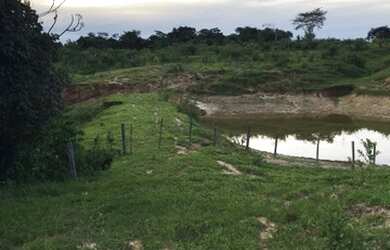 Imagem 9: Sítio 5 alqueires Petrolina de Goiás ( chácara