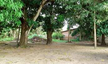 Imagem 6: Vendo casa grande com terreno espetacular!