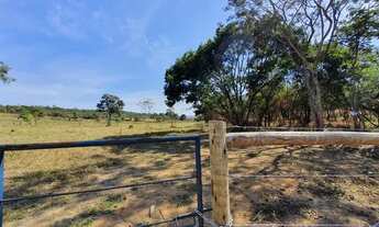 Imagem 7: Fazendinhas 20.000m2 com Água Luz e Porteiras 24.915 + Parcelas