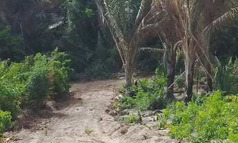 Imagem 4: Vendo ,lotes nesse paraíso 200 metros da praia de guarapiranguinha, parcelamos!