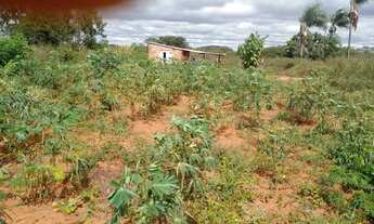 Imagem 3: Terreno Chácara com aluguel com preço sob consulta
