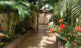 Imagem 3: Alugo - Apê 3/4 com Suite no Sudoeste Goiânia - R$ 1.350,00