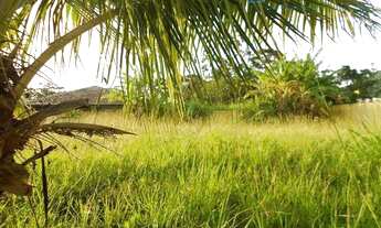 Imagem 5: Terreno Residencial à Venda no Santa Mônica, Florianópolis !!