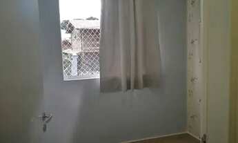 Imagem 7: Apartamento alugar