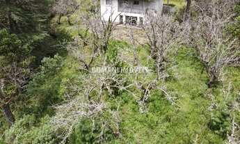 Imagem 7: Ampla Área de Terreno à Venda na Região de Descansópolis - Campos do Jordão/SP