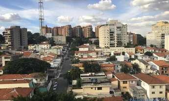 Imagem 6: APARTAMENTO - ALTO DA LAPA - SP