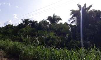Imagem 6: Fazenda para pecuaria em Caxias do Maranhão