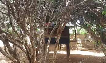 Imagem 5: CHACARA 1 ALQUEIRO MUNICIPIO JARAGUA