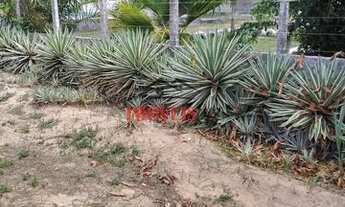 Imagem 7: Chácara a venda com trés quartos em praia bela