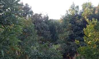 Imagem 3: Vendo Chácara em Campo Largo - Paraná