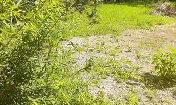 Imagem: Vendo lote na quadra 03 do Park way 1000