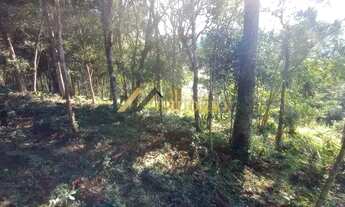 Imagem 7: EXCELENTE CHÁCARA!!! 3.719,81m² DE ÁREA TOTAL, PRÓX. BR 116