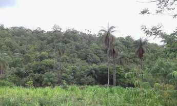 Imagem: Lote rural de 36.000m ²,belíssima vista