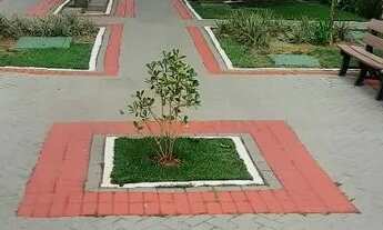 Imagem 3: Dream Park 2 Q Suite Sol da manhã