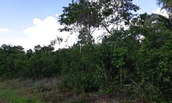 Imagem 5: Fazenda para pecuaria em Caxias do Maranhão