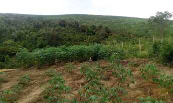 Imagem 7: Sitio em Colônia de Leopoldina obs: leiam a descrição