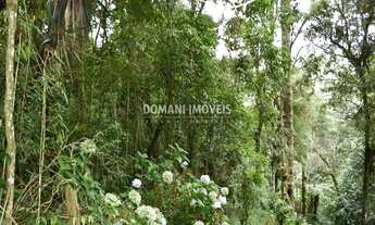 Imagem 4: Terreno à Venda com Preço Baixo na Região do Vale Encantado - Campos do Jordão/SP
