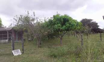 Imagem 6: Excelente chacara