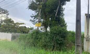 Imagem 7: Terreno Coroados