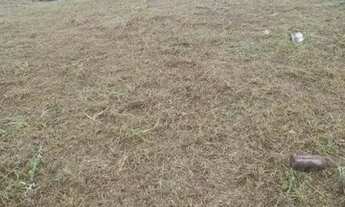 Imagem 4: M- Lote/Terreno para venda tem 360 metros quadrados em Areias de Cima (Guaporanga) - Bigua